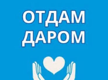 отдам детские вещи нуждающимся: Отдам даром женские вещи размер s-m и детские вещи на девочек от 1 до