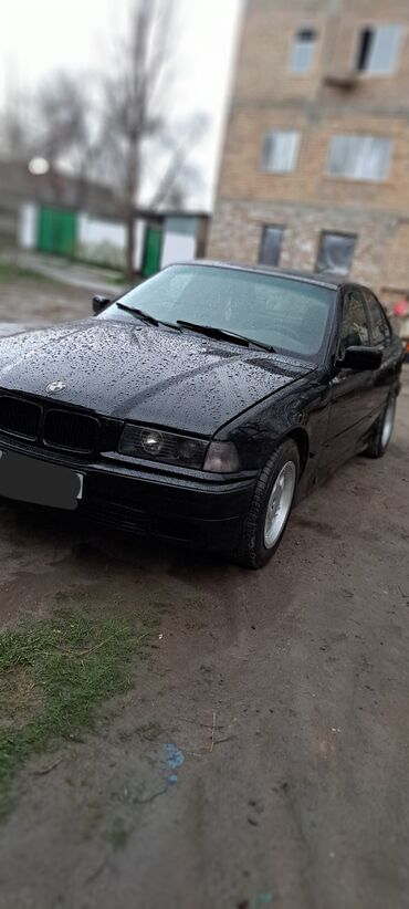 bmb e36: BMW 316: 1993 г., 1.6 л, Механика, Бензин, Седан