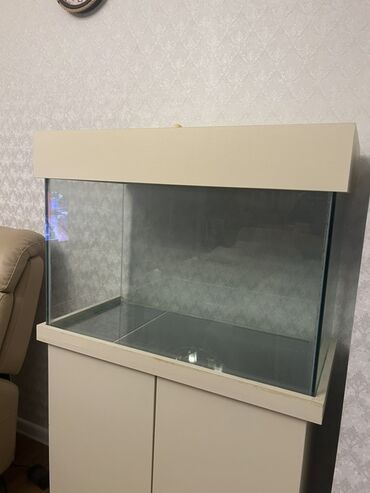 Akvariumlar: Dördbucaq akvarium, Boş, 140 l — 5