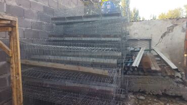 инкубаторские яйца: Клеточные батареи для содержания птицы на 210 кур всё в комплекте