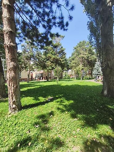 кв 2 комнатный: 2 комнаты, 40 м², 1 этаж, Евроремонт — 6