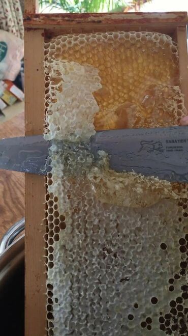 Другие продукты питания: Təbii dağ balı satılır, 1L(1.4 kq) banka -45Azn. Bakıda çatdırılma
