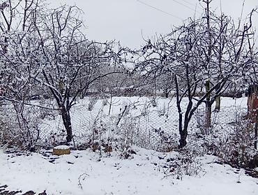Torpaq sahələrinin satışı: 12 sot, Tikinti, Makler, Müqavilə — 4