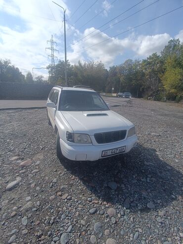 бизнес авто: Subaru Forester: 2001 г., 2 л, Автомат, Бензин, Внедорожник