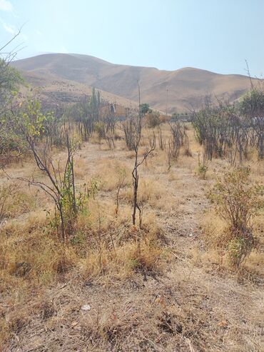 Продажа участков: 5 соток, Для строительства, Красная книга, Договор купли-продажи — 4