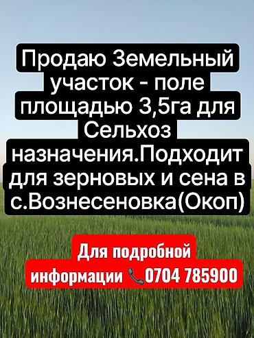 дома в ананьево: 350 соток, Для сельского хозяйства, Тех паспорт, Договор купли-продажи — 1