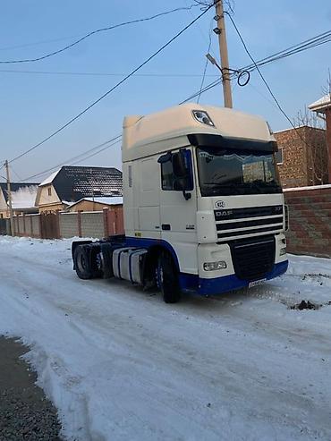 Тягачи: Тягач, DAF — 11