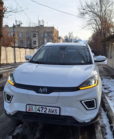 Weltmeister: Weltmeister EX5, 2021 г., 61000 км, Передний — 2