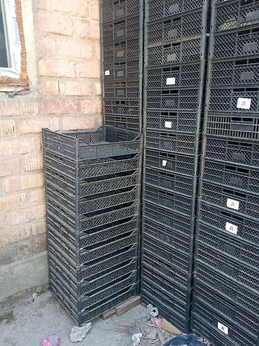 Ящики: Пластиковый Ящик — 8