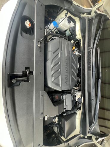 Kia: Kia Carnival: 2019 г., 2.2 л, Автомат, Дизель, Минивэн — 9