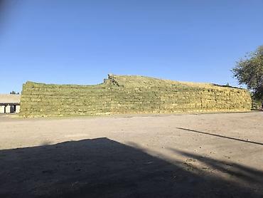 Корма для с/х животных: Сено люцерны в тюках - 3-й укос: мягкое и питательное - Сухое и — 9