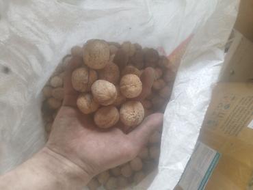 кой сойу: Грецкие орехи в скорлупе - Цельные орехи среднего и крупного калибра — 1