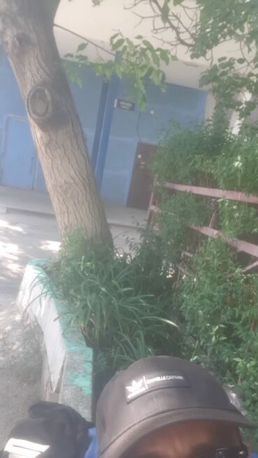 комната на месяц: 1 комната, 35 м², 2 этаж, Косметический ремонт