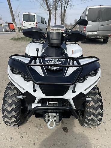 Квадроциклы: Квадроцикл Linhai 300 (4x4) - Мощный утилитарный ATV с полным — 10