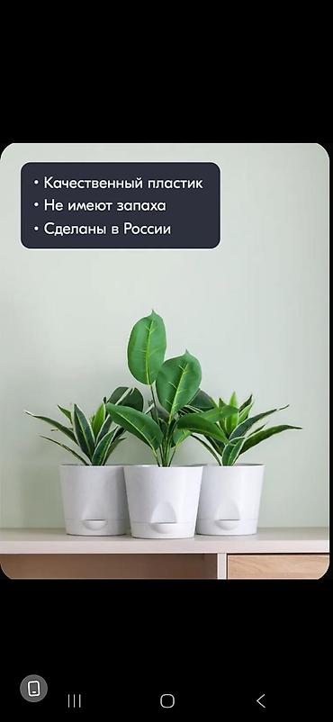 Декор для дома и сада: Декор для дома и сада, Кашпо и цветники, Самовывоз — 6