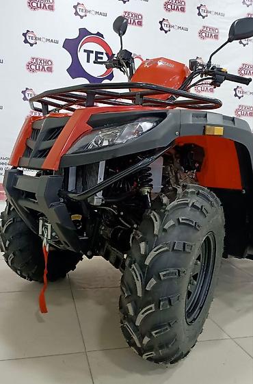 Квадроциклы: Квадроцикл Бензин, 500 куб. см, Взрослый — 10