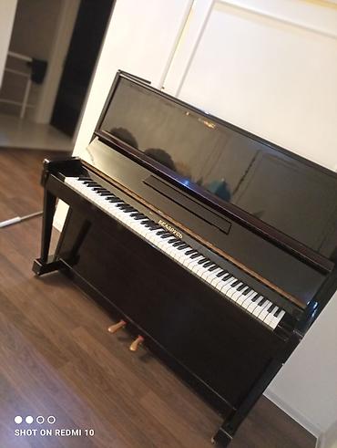 Pianolar: Piano, Belarus, Akustik — 1