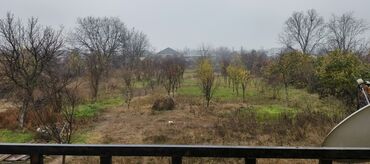 Torpaq sahələrinin satışı: 30 sot, Kənd təsərrüfatı, Mülkiyyətçi, Kupça (Çıxarış) — 2