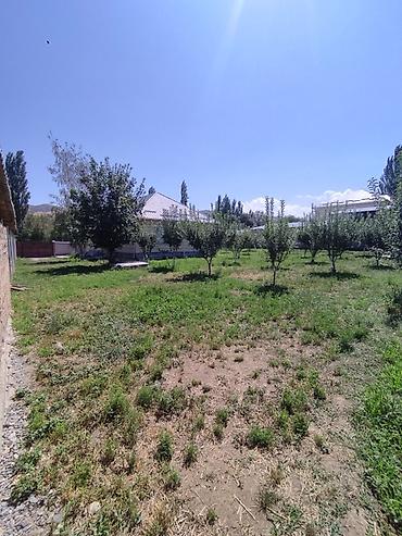 участок 3000: 📍 В Сокулуке в селе Саз продается 40 соток по факту 45, 130 кв.м. 🏡 — 6