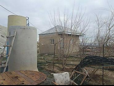 Продажа коммерческой недвижимости: Ferma/sənaye təsərrüfatı obyekti - Geniş əraziyə malik qapalı və — 3