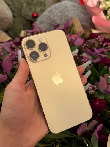 nitro max gold qiymeti: IPhone 14 Pro Max, 128 GB, Qızılı