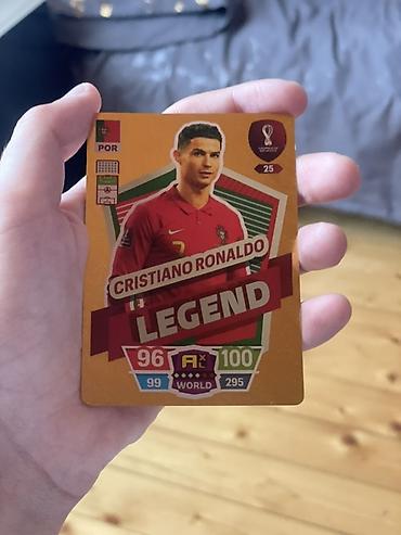 oyun diskleri: Panini Adrenalyn XL FIFA 365 futbol kartları kolleksiyası - Mövzu — 3