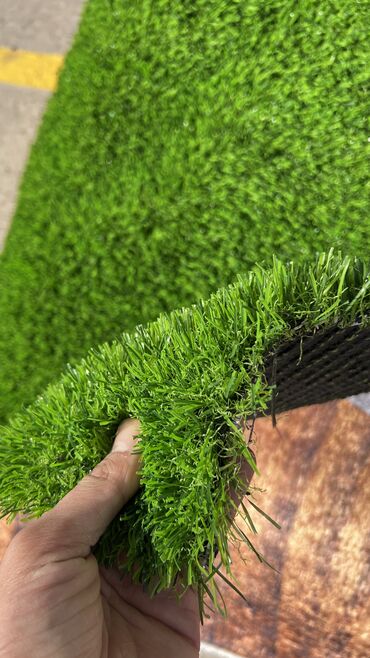 Toxumlar: 10 azn baslayan qiymetler Suni qazonlarin topdan satisi Suni qazon -da lalafo.az — 22 Toxumlar: 10 azn baslayan qiymetler Suni qazonlarin topdan satisi Suni qazon — 22