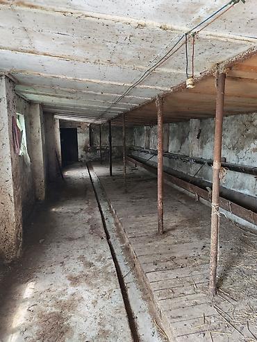 əmlak az: Satılır: Ferma satılır heyvandarlıq üçün təsərrüfat sahəsi və həyət — 4