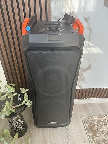 karaoke qiymetleri: Hoffmann portativ səs sistemi – güclü basslı böyük kolonka — 1