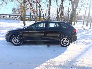 Audi: Audi A3: 1.6 l | 2006 г. Hečbek — 8