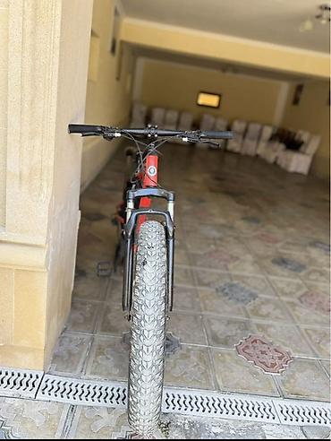 qalin tekerli velosiped: Dağ velosipedi – ön amortizatorlu, geniş protektorlu təkərlər. - Rul — 1