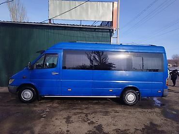 w210 e320: Пассажирский микроавтобус Mercedes-Benz Sprinter (длинная база — 1