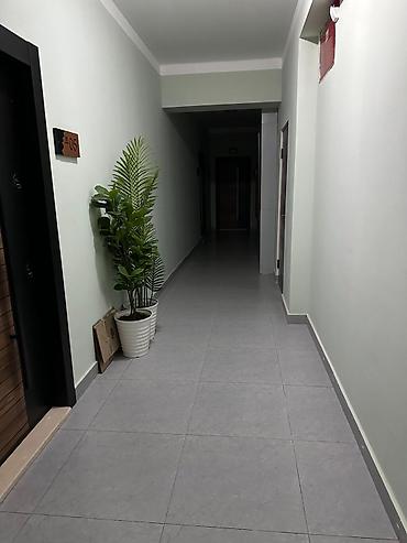 Qonaq otağı dəstləri: Yeni, Divan — 19