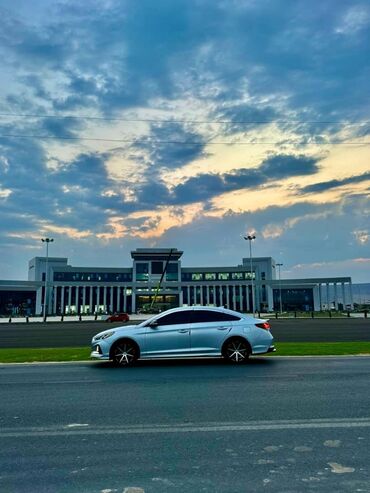 елентра хундай: Hyundai Sonata: 2017 г., 2 л, Автомат, Газ, Седан