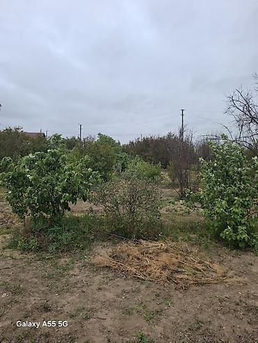 bina az seki: 2 otaqlı, 24 kv. m, Kredit yoxdur, Təmirsiz — 3