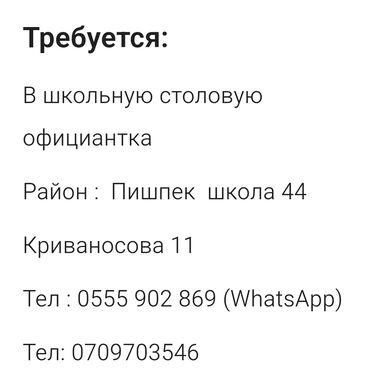 официантка жумуш: Талап кылынат Официант Тажрыйбасыз, Төлөм Күн сайын