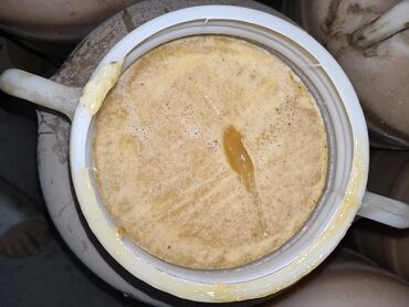 бал алабыз: Мёд разнотравье натуральный горный оптом