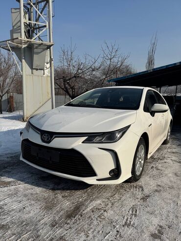 сатам алам: Toyota Corolla: 2019 г., 1.8 л, Вариатор, Гибрид, Седан