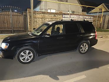 Subaru: Subaru Forester: 2003 г., 2.5 л, Автомат, Бензин, Кроссовер — 3