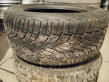 55: Шины 225 / 55 / R 16, Зимняя шипованная, Б/у, Комплект, Легковые, Германия, Continental — 1