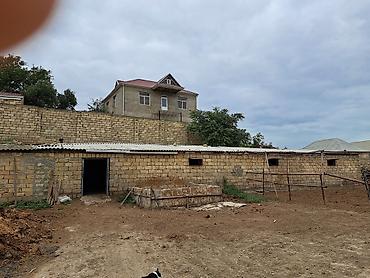 cucə və xoruz təmsil: Mal-qara üçün hazır ferma tövləsi QIYMETI RAZILASMAQ YOLU ILE 40 bas — 1
