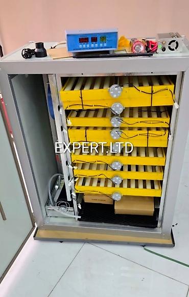 İnkubatorlar: Çin, Tam avtomat, Bütün növ quşlaq üçün, Zəmanət ilə — 29