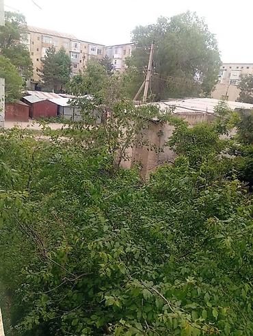 Продажа квартир: 3 комнаты, 83 м² — 16