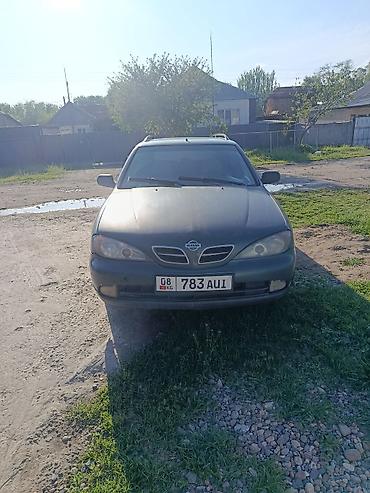 sprinter 4 4: Nissan Primera: 2000 г., 2 л, Механика, Дизель, Универсал — 1