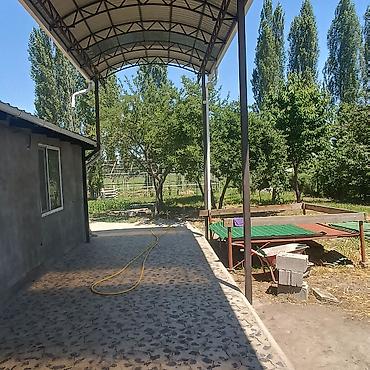 Дома: Продаю дом в Новопокровке . Остоновка широкая. Доме проведен газ — 3