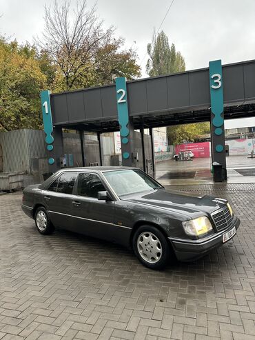 Mercedes-Benz: Mercedes-Benz W124: 1995 г., 2 л, Бензин, Седан