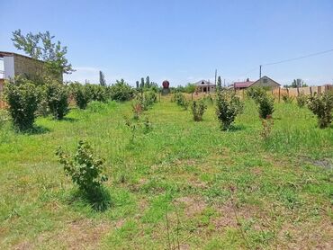 Torpaq sahələrinin satışı: 8 sot, Tikinti, Mülkiyyətçi, Texniki pasport — 3