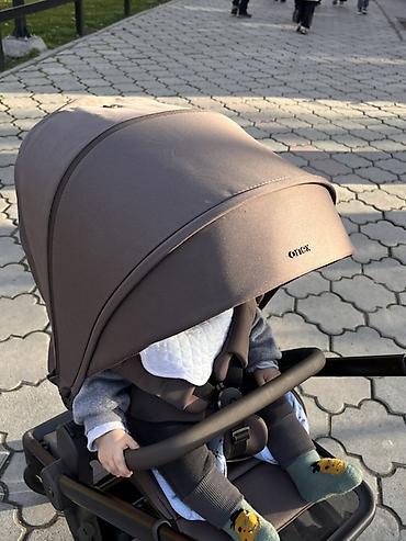 Коляски: Коляска «Anex flo»
Цвет кофе/коричневый — 8