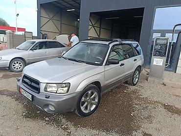 продажа токмок: Subaru Forester: 2005 г., 2 л, Автомат, Газ, Кроссовер — 5