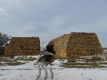 Корма для с/х животных: Солома / саман / сено /